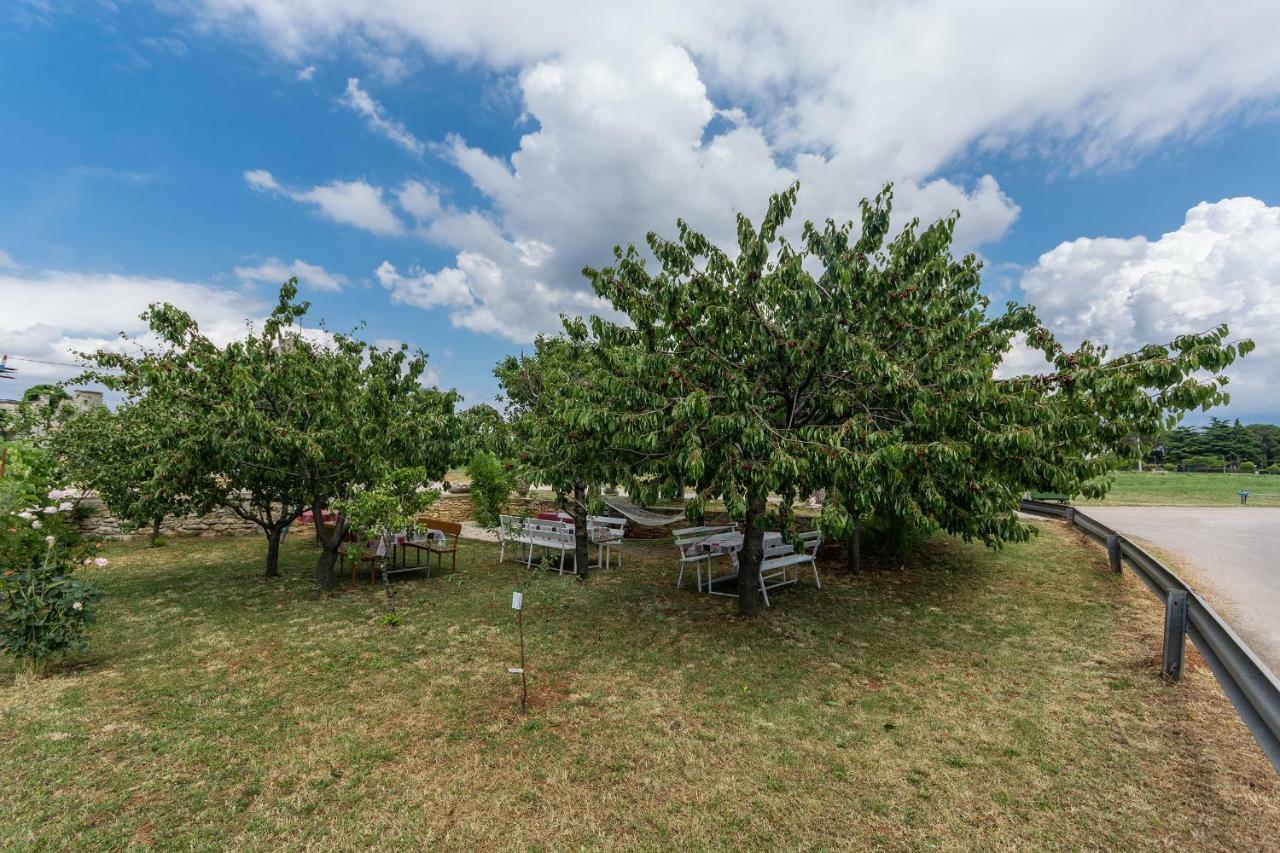 Apartments Mijat Новиград Екстериор снимка