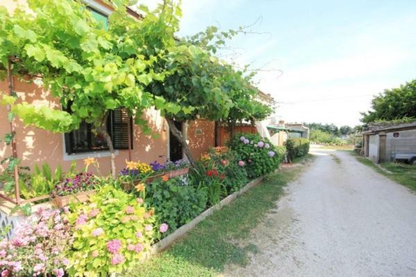 Apartments Mijat Новиград Екстериор снимка